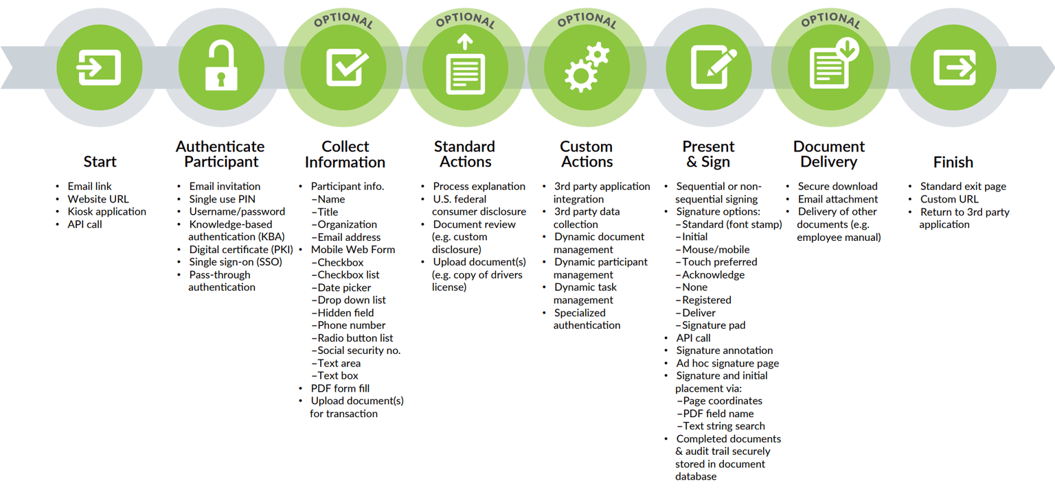 Workflow Explanation